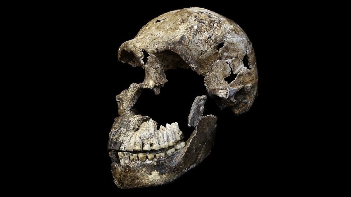 Tajemství pohřebiště Homo naledi se prohlubuje