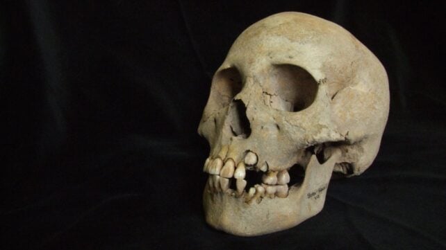 DNA Reveals an Ancient Killer Was Already Deadly 5,500 Years Ago