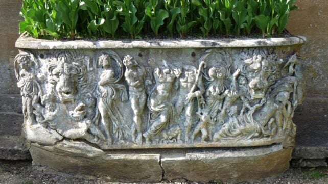 Flowerpot Used For 200 Years Turned Out to Be a Rare Treasure