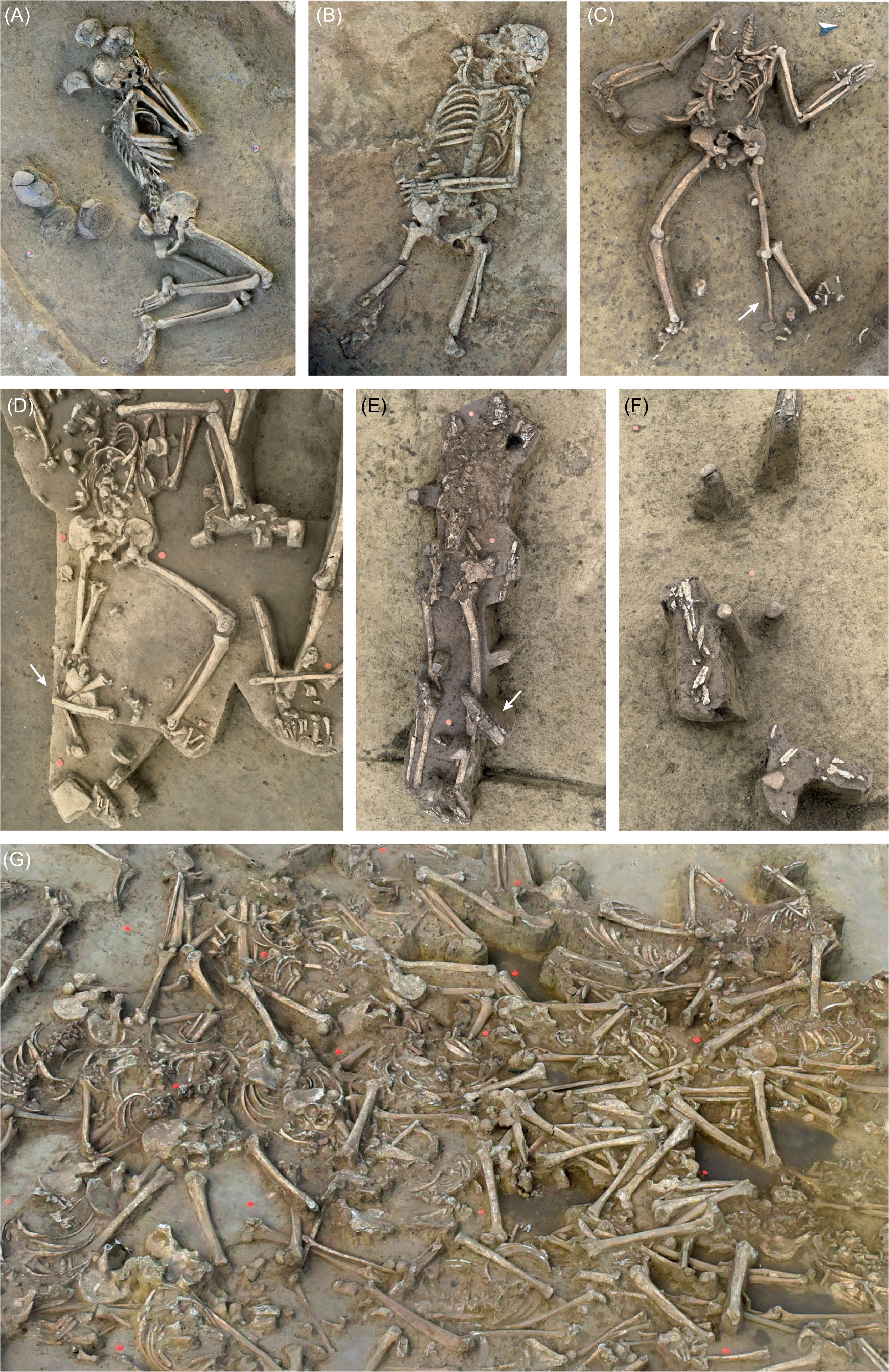 Archaeologists Have Found Nearly 80 Headless Human Skeletons At A Spooky Stone Age Settlement