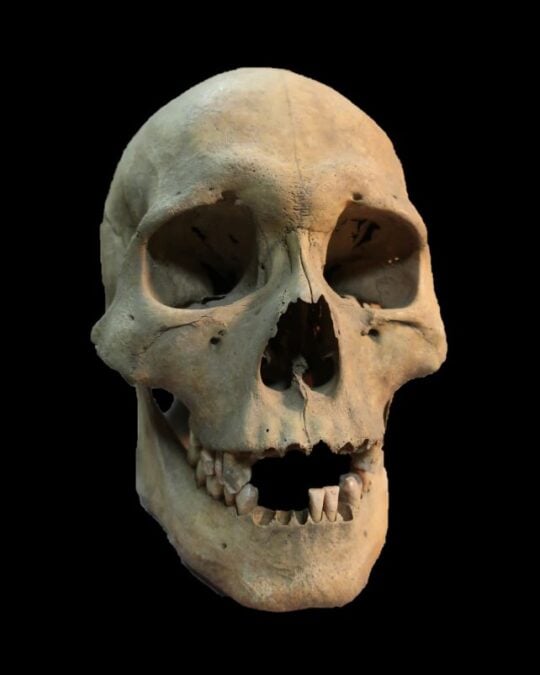 Plague Bacterium Was Killing Hunter-Gatherers 5,500 Years Ago