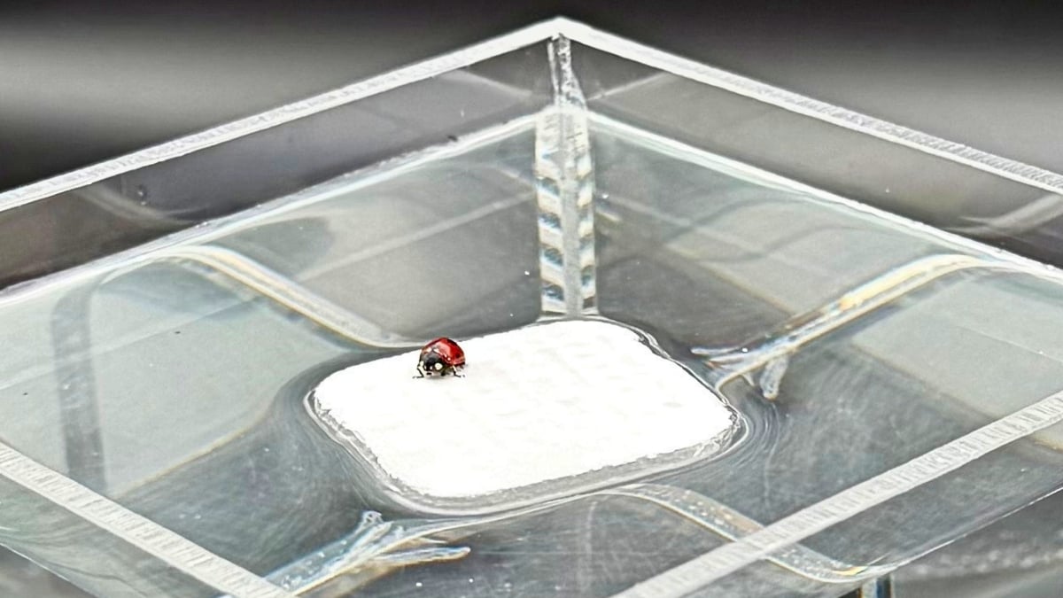 Scientists Create a ‘Breathable’ Hydrogel Inspired by Human Lungs