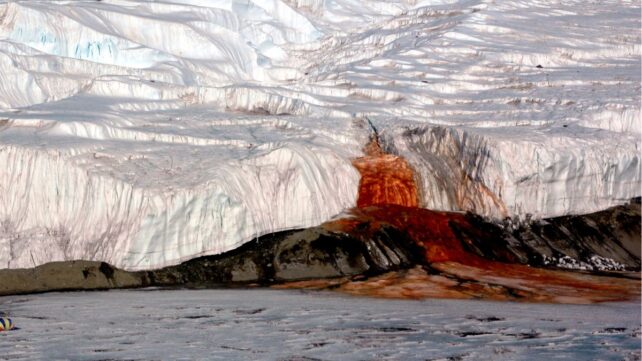 Bloodfallsattaylorglacierinantarctica