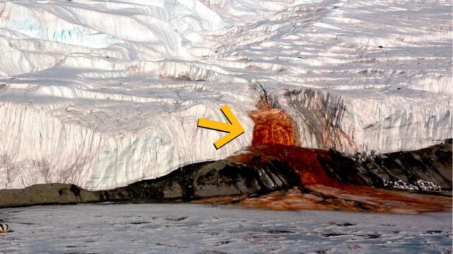 Antarctica's Blood Falls Hides a Hidden World That's Never Seen The Sun