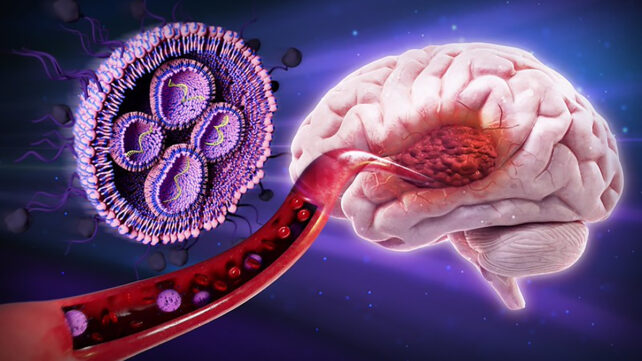 Blood brain barrier delivery