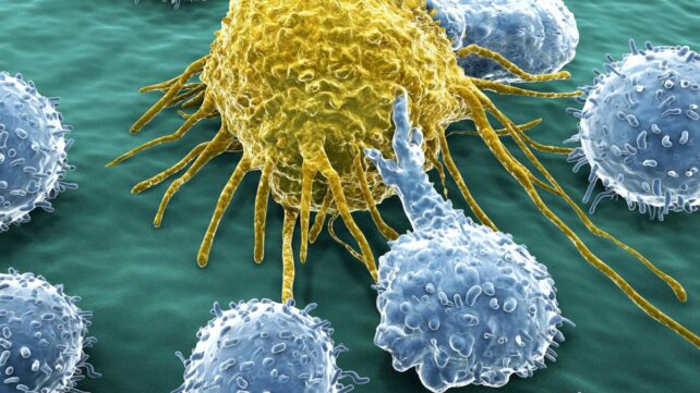 Scientists Just Unlocked an Endless Army of Cancer-Fighting Cells