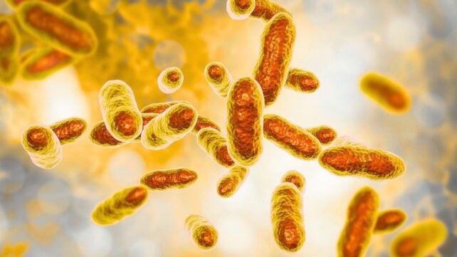 Uranium-Eating Bacteria Leave Just 5% of The Radioactive Metal in Toxic Mine Water, Scientists Discover