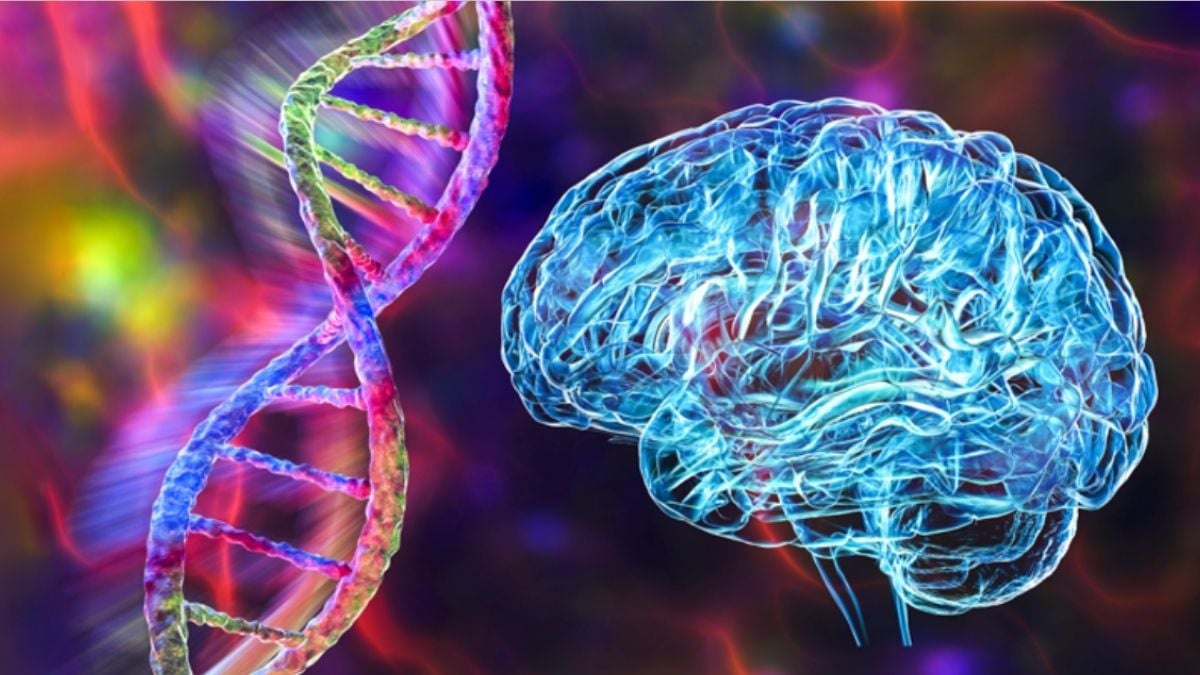 Schizophrenia and Bipolar Disorder Share 70% of Their Genetic Roots, Study Finds