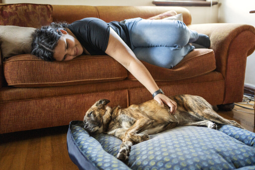Drug-Resistant Superbugs May Be Jumping Between Pets And Humans, Scientists Warn
