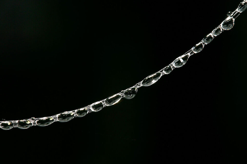 ScienceAlert Staff Share Their Most Awe-Inspiring Science Facts