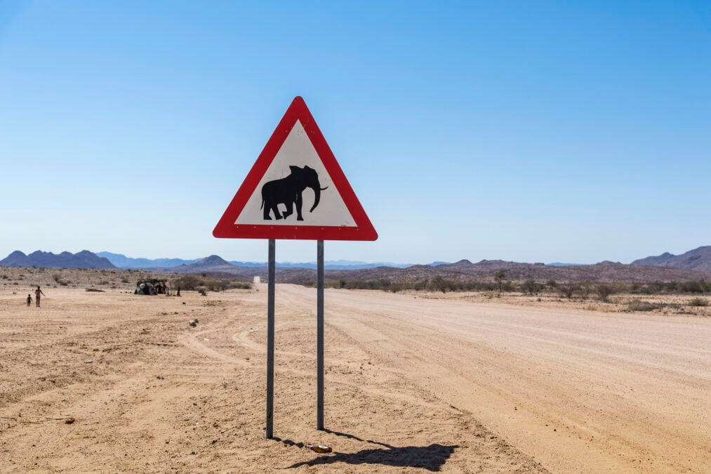 A War Between Humans And Elephants Is Brewing in Southern Africa