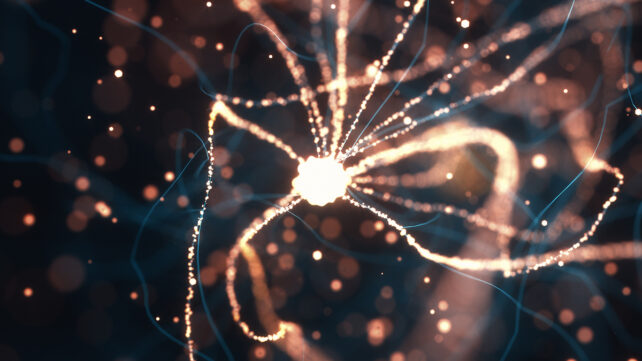 Glowing neurons