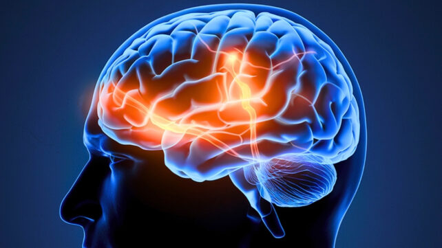 Your Brain Really Can Learn to Multitask &ndash; And Scientists Just Revealed How