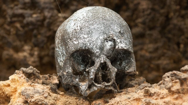 An old skull