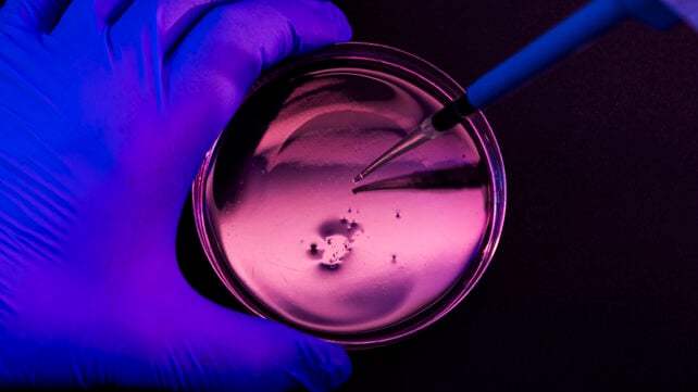 Lab experiment