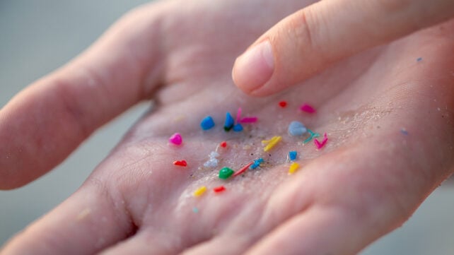 Microplastics in the hand