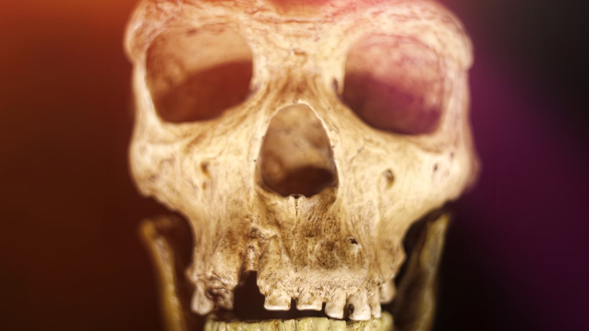 Ludzie i neandertalczycy dzielili kulturę przez 20 tys. lat — odkrycie jaskiniowe