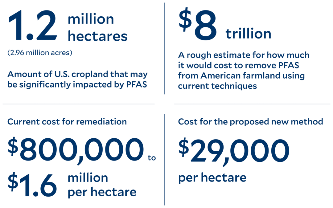 Scientists Have Found a New Way to Remove 'Forever Chemicals' From Contaminated Farmland Soil