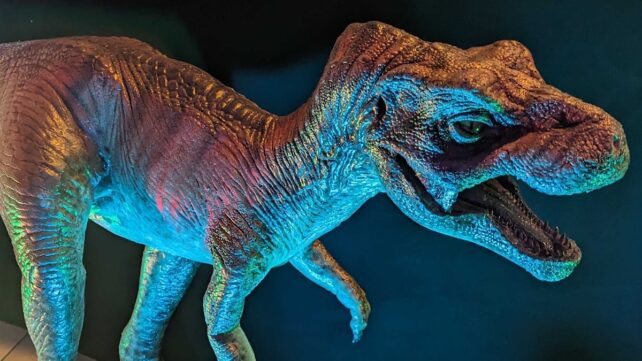 Neglected Museum Fossils Turn Out to Be The First T. Rex Hatchlings Ever Found