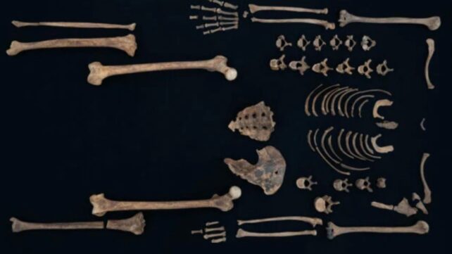 Bones of Ancient Egyptian Princesses Reveal They Were Kind of Badass