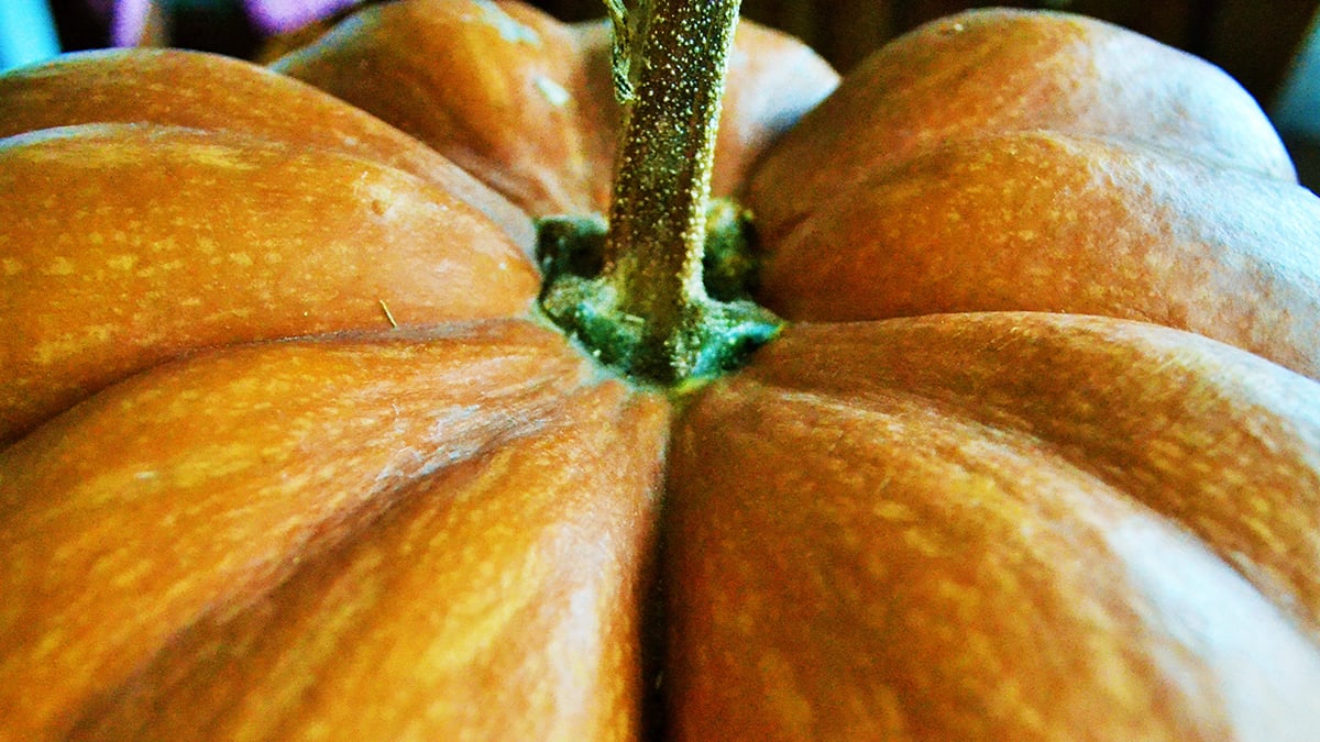 Pumpkin peel could revolutionise food preservation, study finds