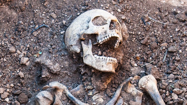 Skeleton remains