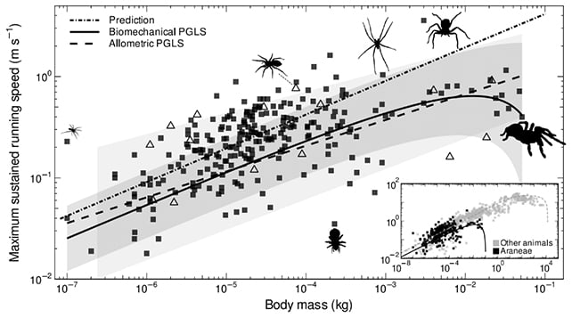 Spider chart