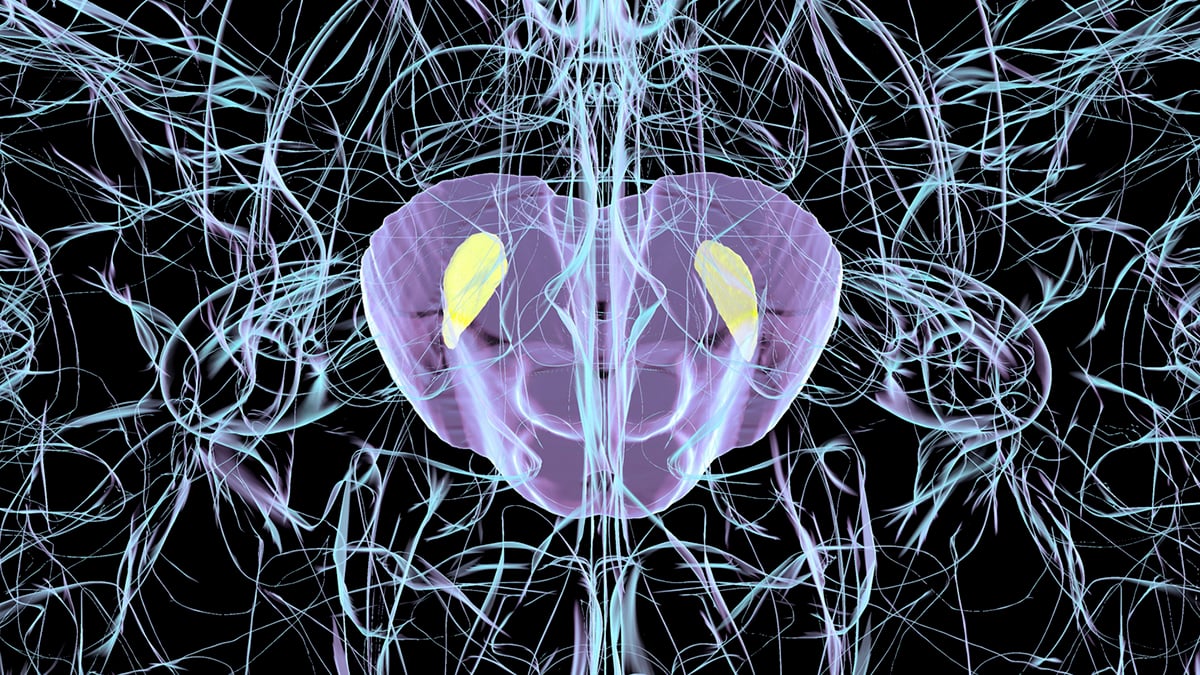Common virus triggers Parkinson's-like brain damage in mice, study finds