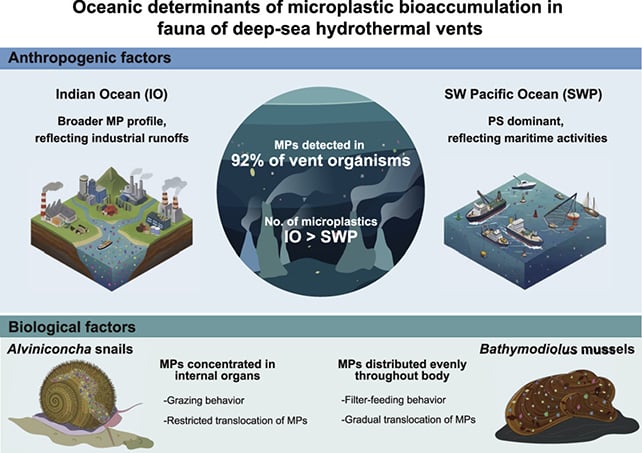 Microplastics diagram