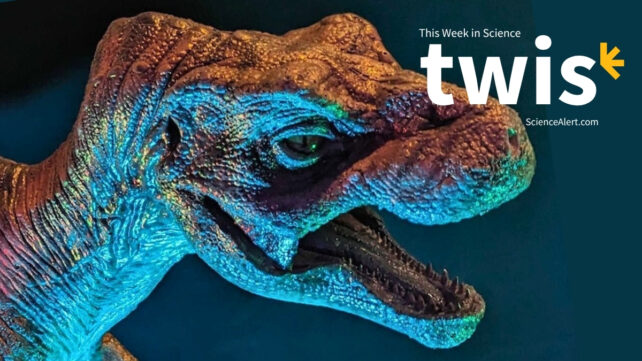 This Week in Science: Tiny T. Rexes, a New Monkey Species, And More!