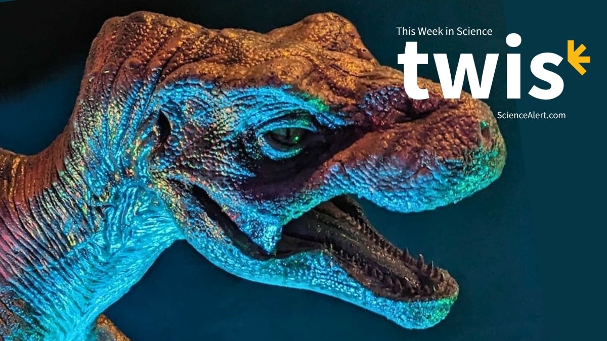 This Week in Science: Tiny T. Rexes, a New Monkey Species, And