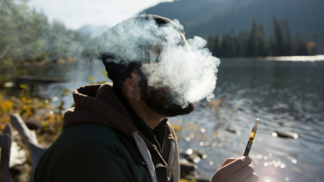 There's a Scientific Reason Regular Cannabis Users Wake Up More Stressed