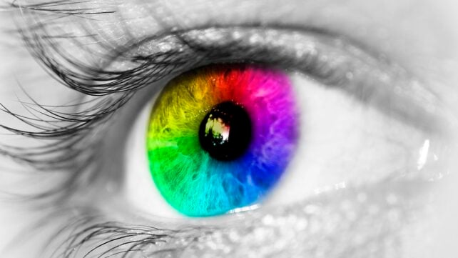 It Takes Just 3 Amino Acids to Let Us See Red And Green, Study Finds