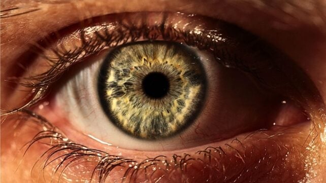 Scientists Just Made Contact Lenses That Fix Their Own Scratches &ndash; Without Needing Replacing