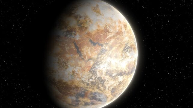 Scientists Calculated When The Last Plants on Earth Will Die
