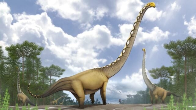 Арт-ілюстрація Uragasaurus kalasinensis