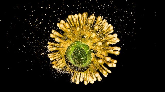 A New Kind of HIV Pill Just Passed Its First Test in Humans