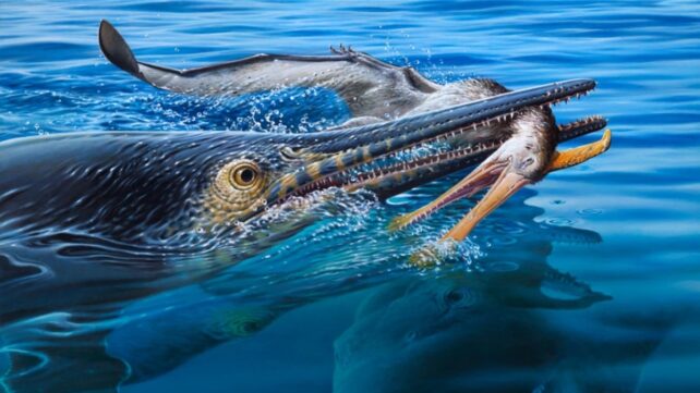 Like an Ancient 'Turducken': Fossil Captures Cretaceous Sea Monsters Devouring Each Other