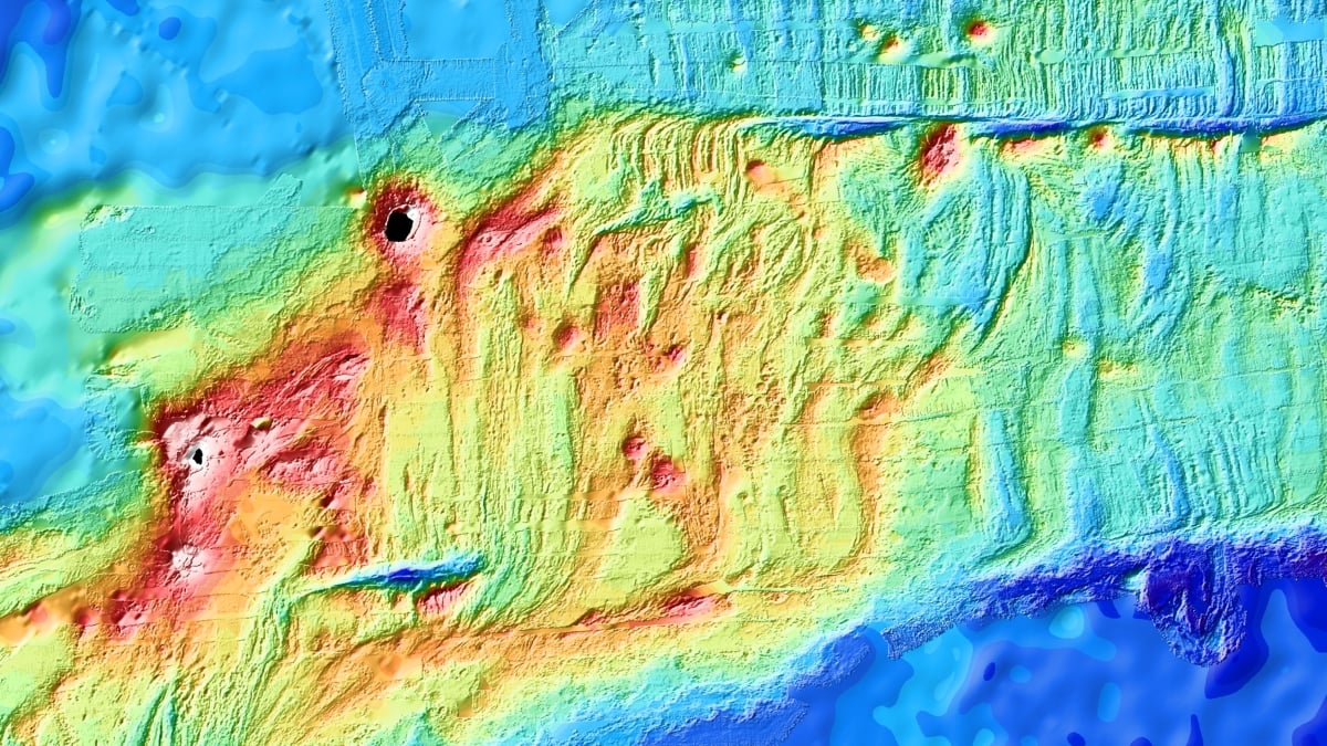 Naukowcy po raz pierwszy obserwowali narodziny skorupy oceanicznej na żywo