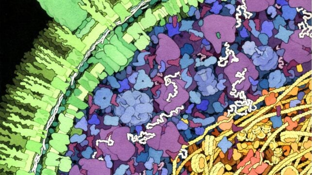 Scientists Discover a Bizarre New Way Life Can Make DNA... Without DNA