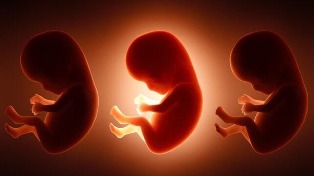 It's Not Just Mom's Diet: Father's Junk Food Habit May Shape His Unborn Baby