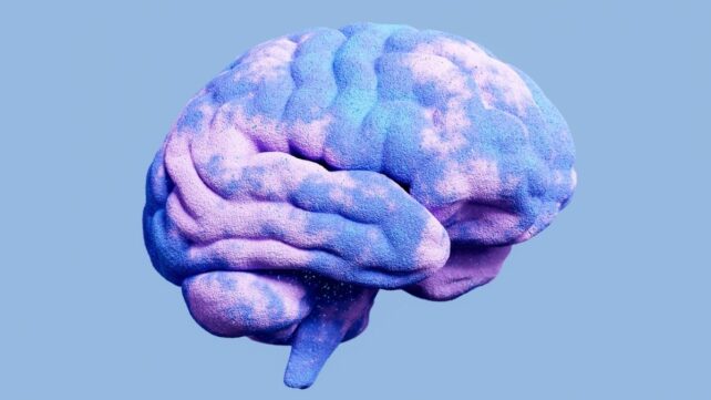 Ketamine Has a Hidden Effect on The Brain Researchers Have Been Missing For Decades