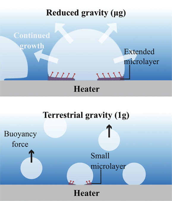 Boiling bubbles