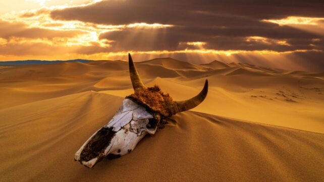 'Critical Transition': Earth's Chemistry Wobbled During Its 5 Biggest Mass Extinctions