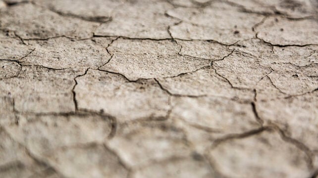 Drought conditions