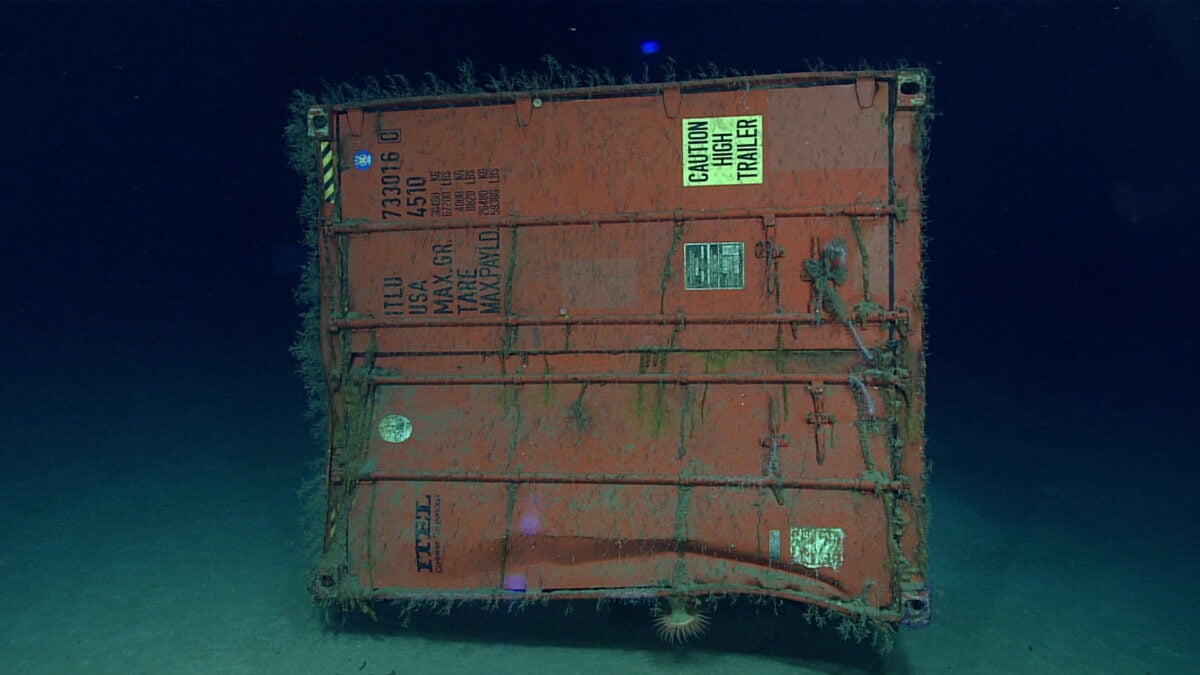 Deep Sea Scientists Accidentally Stumbled Across The Ocean's Own Backrooms