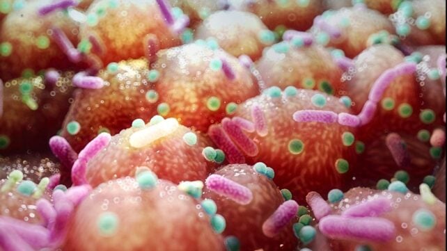 Parkinson's Link to Gut Bacteria Hints at Unexpectedly Simple Treatment