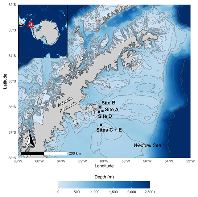 Fish nest map