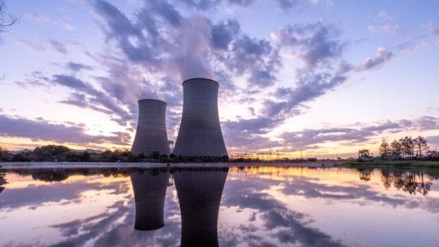 Swarming Jellyfish Just Shut Down a Nuclear Reactor For The Second Time