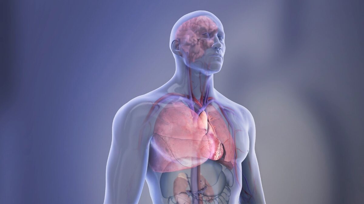 Experts Have Issued New US Guidelines For How to Manage Cholesterol